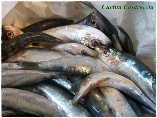 Sardine sotto sale fatte in casa ricetta passo passo